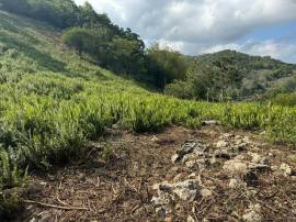 Residential Lot for Private Treaty Hanover, Succes