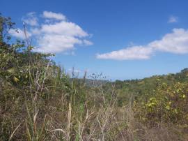 Residential Lot for Private Treaty Hanover, Succes