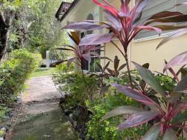 House for Sale Kingston & St. Andrew, Kingston 6