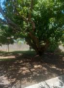 House for Sale St. James, Montego Bay