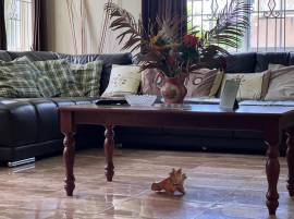 House for Sale St. Ann, St. Ann's Bay