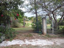 House for Sale St. Elizabeth, Black River