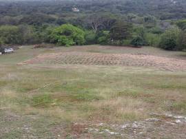 House for Sale St. Elizabeth, Black River