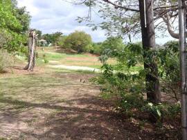 House for Sale St. Elizabeth, Black River