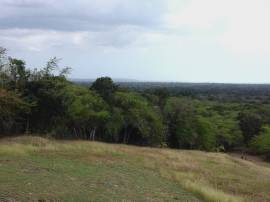 House for Sale St. Elizabeth, Black River