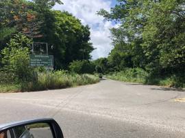 Farm/Agriculture for Sale Westmoreland, Bluefields