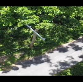 Farm/Agriculture for Sale Westmoreland, Bluefields