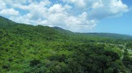 Farm/Agriculture for Sale Westmoreland, Bluefields