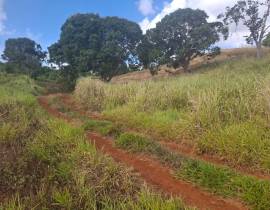 Residential Lot for Private Treaty Manchester, Coc