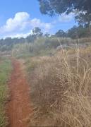 Residential Lot for Private Treaty Manchester, Coc