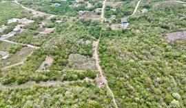 Development Land (Residential) for Sale Trelawny, 