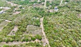 Development Land (Residential) for Sale Trelawny, 