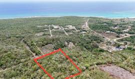 Development Land (Residential) for Sale Trelawny, 