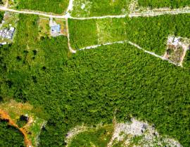 Development Land (Residential) for Sale St. Ann, D