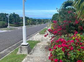 House for Sale St. Ann, Richmond