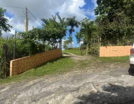 House for Sale St. Ann, Lime Hall