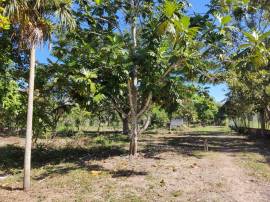 Resort Apartment/Villa for Sale Westmoreland, Negr