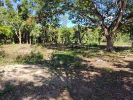 Resort Apartment/Villa for Sale Westmoreland, Negr