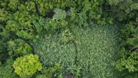 Development Land (Residential) for Sale St. Thomas