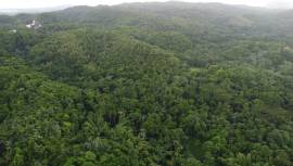 Development Land (Residential) for Sale St. Thomas