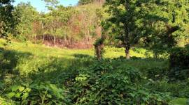 Development Land (Residential) for Sale Portland, 