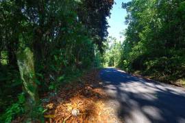 Development Land (Residential) for Sale Portland, 