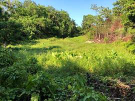 Development Land (Residential) for Sale Portland, 