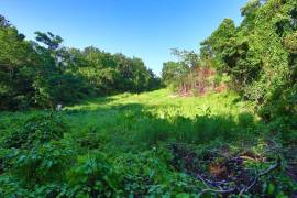 Development Land (Residential) for Sale Portland, 