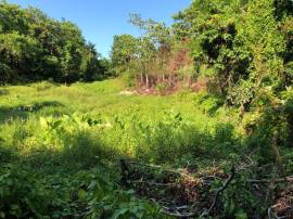Development Land (Residential) for Sale Portland, 