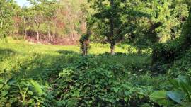 Development Land (Residential) for Sale Portland, 