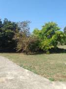 House for Sale St. Ann, Runaway Bay