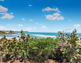 Development Land (Residential) for Sale St. Elizab