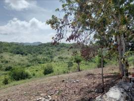 House for Sale St. Ann, Claremont