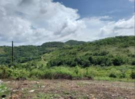 House for Sale St. Ann, Claremont