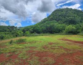 Development Land (Residential) for Sale Clarendon,