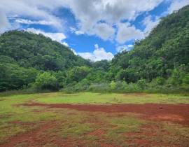 Development Land (Residential) for Sale Clarendon,