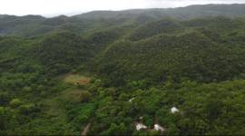 Development Land (Residential) for Sale Clarendon,