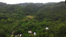 Development Land (Residential) for Sale Clarendon,
