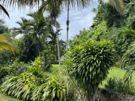 House for Sale Kingston & St. Andrew, Kingston 9