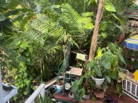 House for Sale Kingston & St. Andrew, Kingston 8