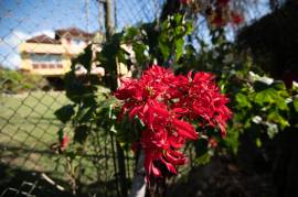 House for Sale St. Catherine, Linstead