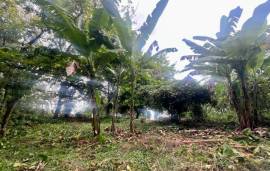 Development Land (Residential) for Sale St. Ann, O