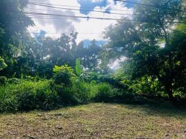 Development Land (Residential) for Sale St. Ann, O