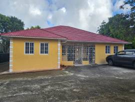 Apartment for Rent St. James, Montego Bay