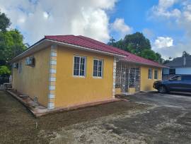 Apartment for Rent St. James, Montego Bay