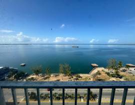 Resort Apartment/Villa for Rent Kingston & St. And