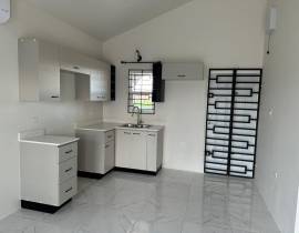 House for Rent St. Catherine, Phoenix Park