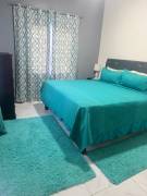 House for Rent St. Catherine, Phoenix Park