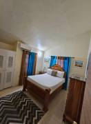 House for Rent St. Catherine, Phoenix Park