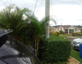 House for Rent Trelawny, HOLLAND ESTATE